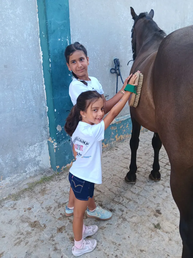 Crianças a escovar o cavalo, antes da aula